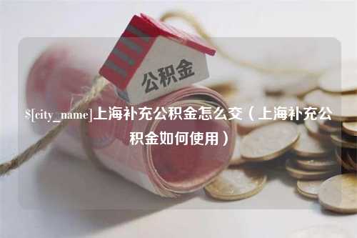 揭阳上海补充公积金怎么交（上海补充公积金如何使用）